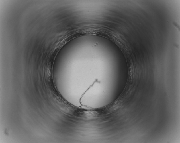X0000099440371200805231723