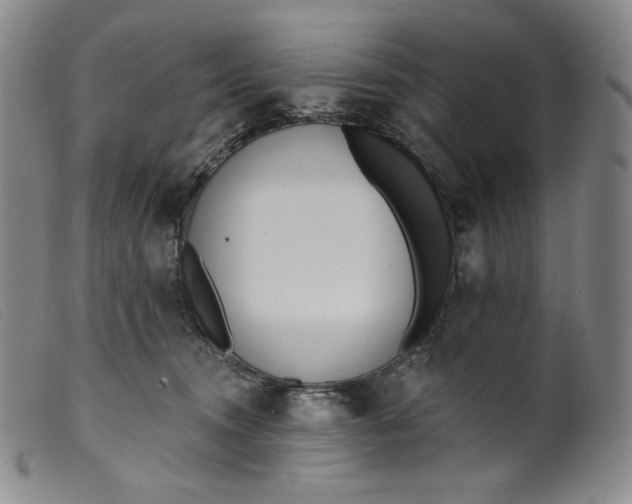 X0000099440372200805231723