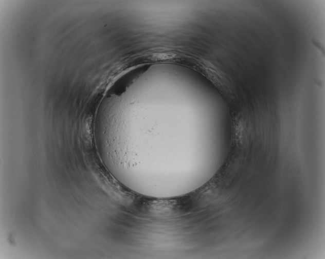 X0000099440373200805231723