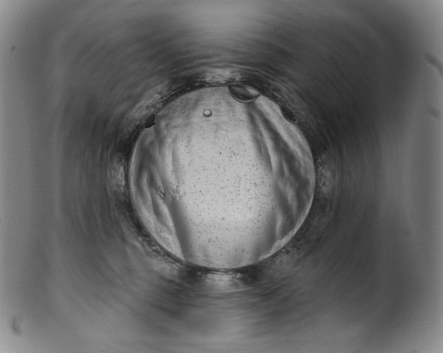 X0000099440375200805231723
