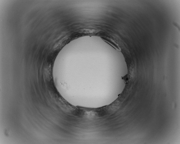X0000099440376200805231723