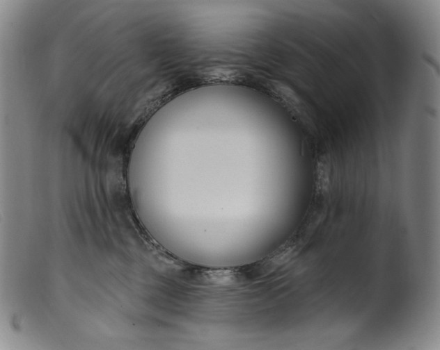 X0000099440377200805231723