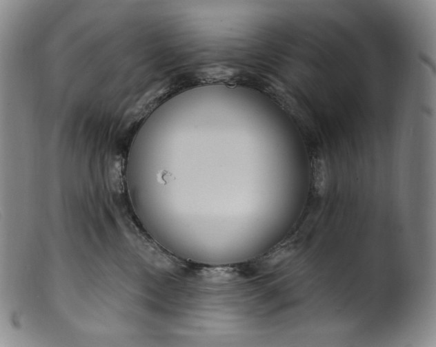 X0000099440378200805231724