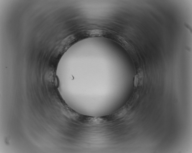 X0000099440379200805231724