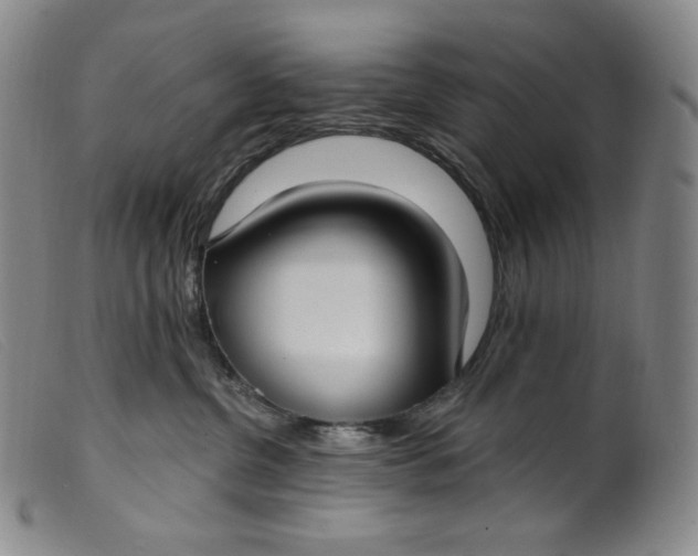X0000099440380200805231724