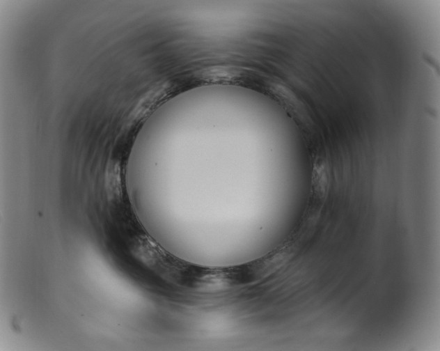 X0000099440381200805231724