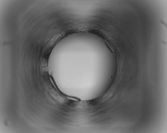 X0000099440384200805231724