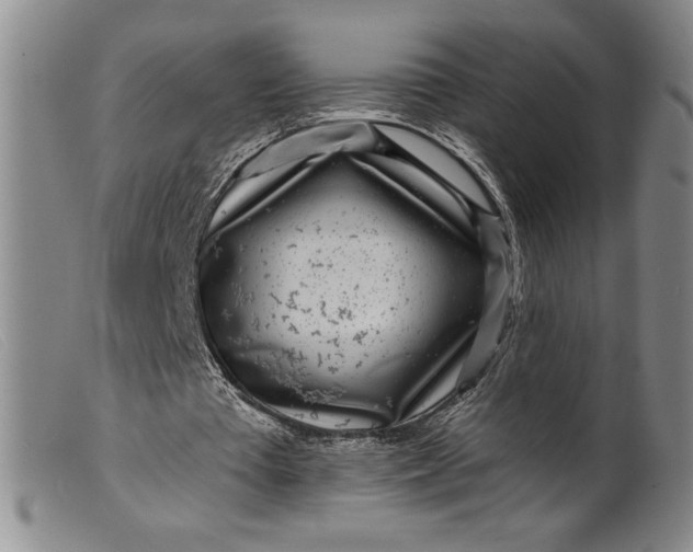 X0000099440385200805231723