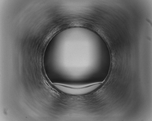 X0000099440386200805231723