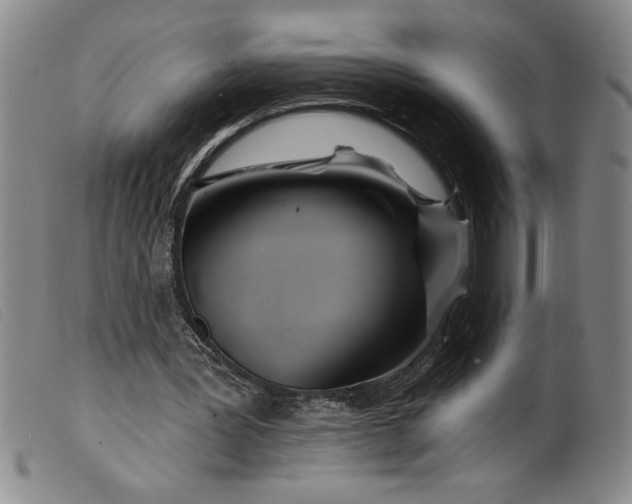 X0000099440387200805231723