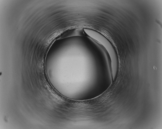 X0000099440389200805231723