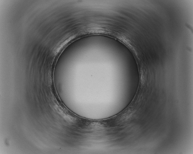 X0000099440390200805231723