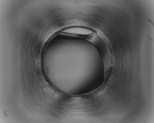 X0000099440391200805231723