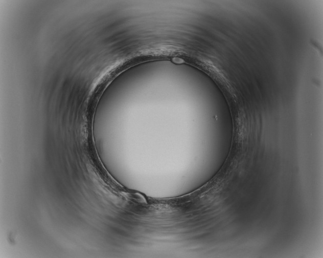 X0000099440392200805231723