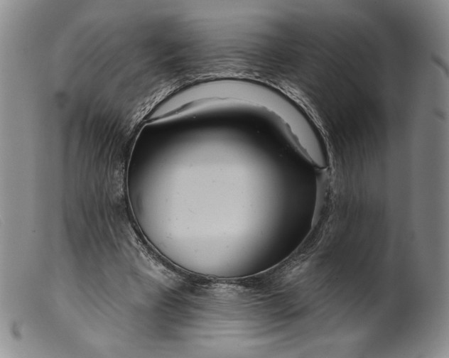 X0000099440393200805231723