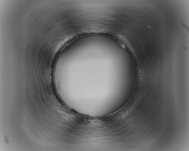 X0000099440395200805231723