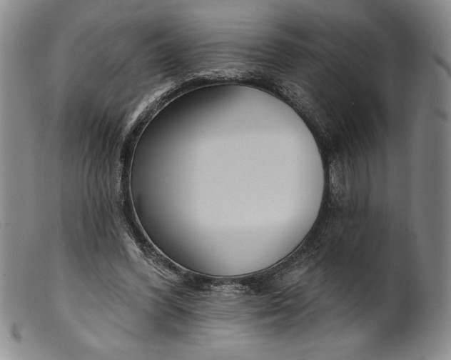 X0000099440396200805231723