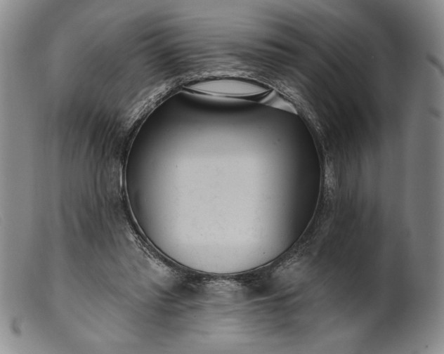 X0000099440397200805231723