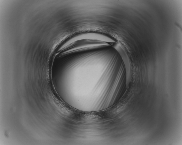 X0000099440399200805231723
