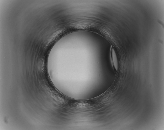 X0000099440400200805231723