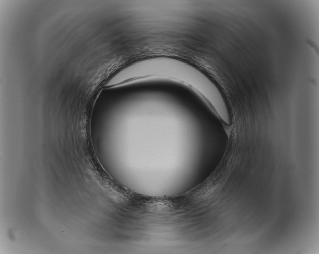 X0000099440402200805231723