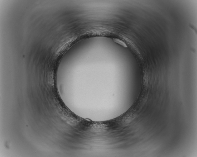 X0000099440403200805231722