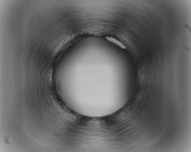 X0000099440404200805231722