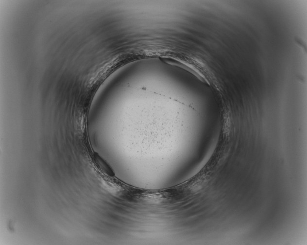 X0000099440405200805231722