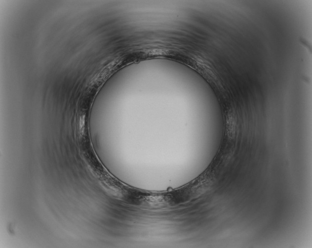 X0000099440406200805231722