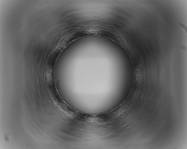 X0000099440408200805231722