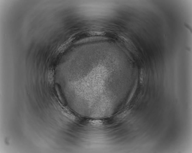 X0000099440409200805231722