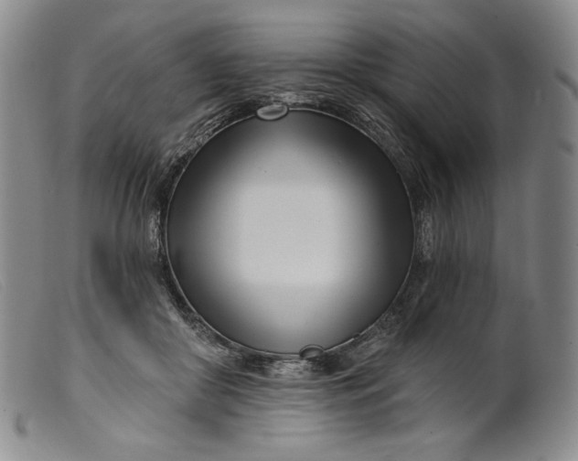 X0000099440410200805231722