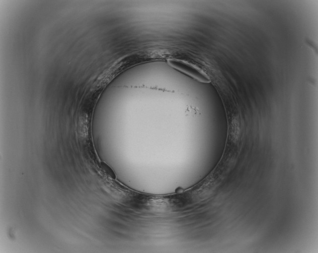 X0000099440413200805231722