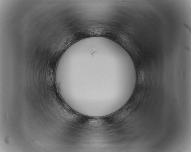 X0000099440414200805231722