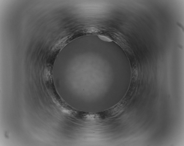 X0000099440415200805231722