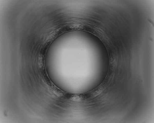 X0000099440416200805231722