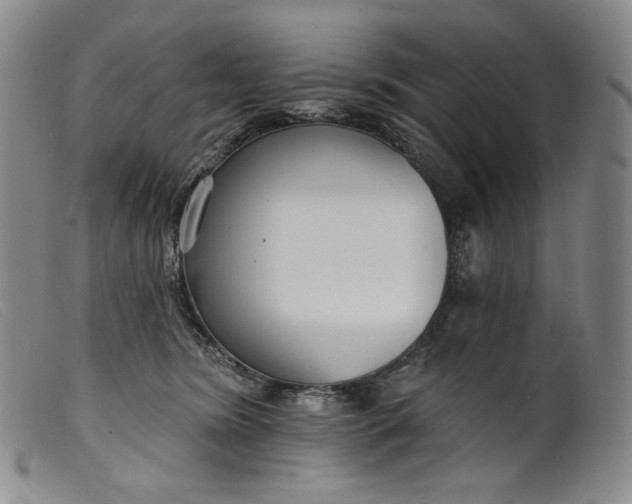 X0000099440420200805231722