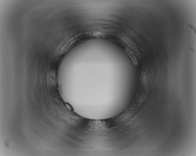 X0000099440421200805231722