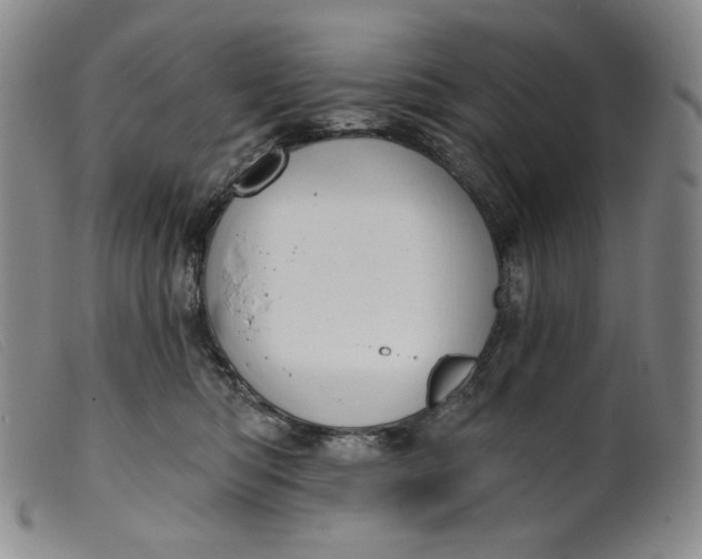 X0000099440422200805231722