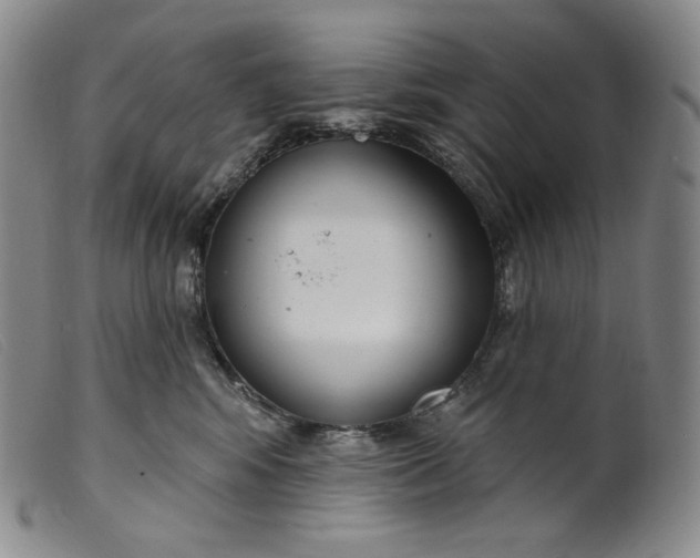 X0000099440424200805231722