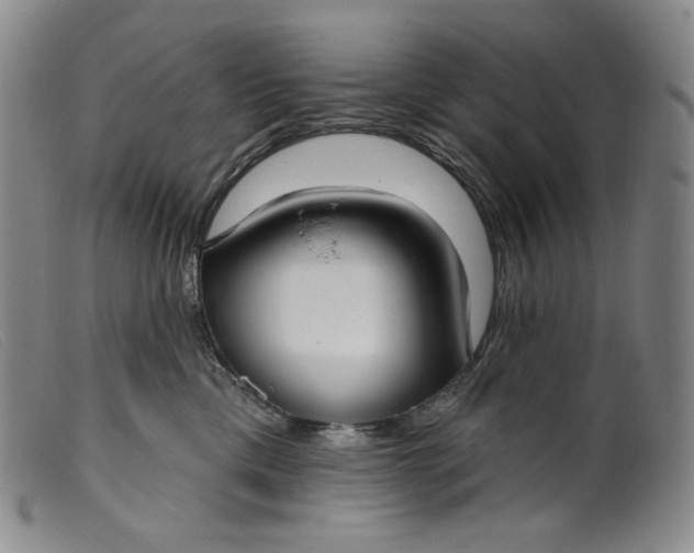 X0000099440425200805231722