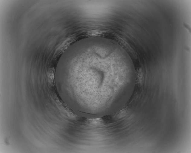 X0000099440427200805231722