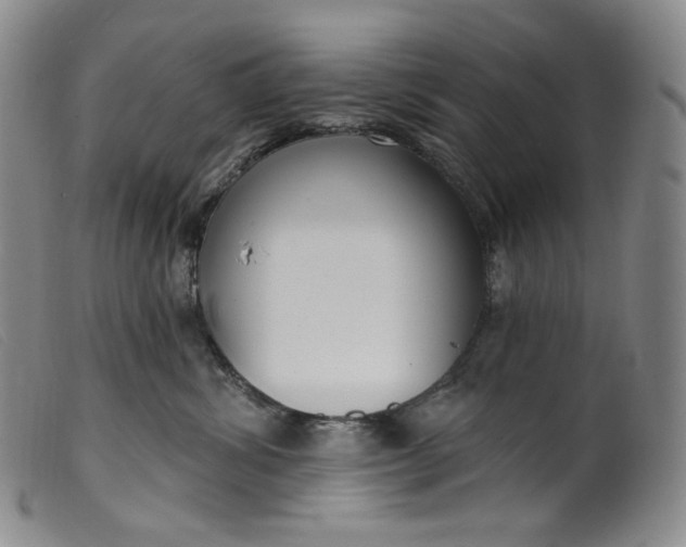 X0000099440428200805231722