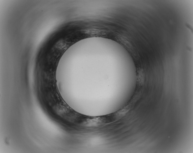 X0000099440430200805231722