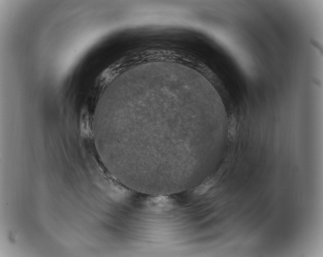 X0000099440431200805231722