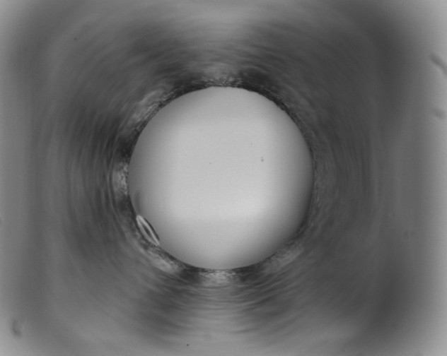X0000099440432200805231722