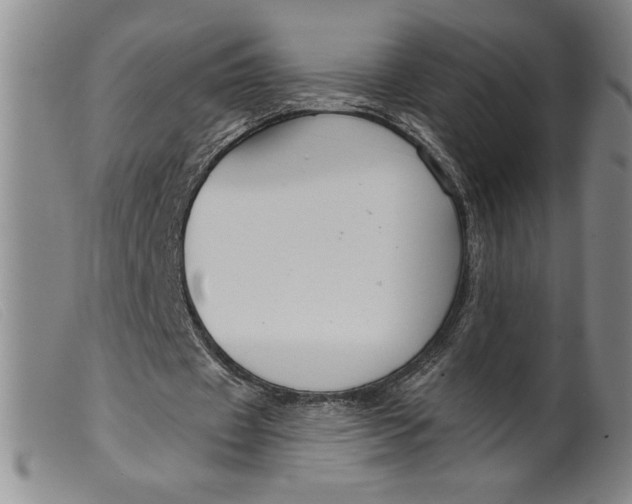 X0000099440433200805231721