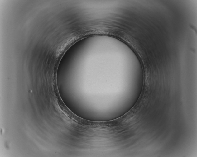 X0000099440434200805231721