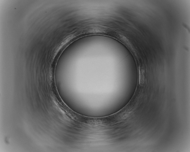 X0000099440435200805231721