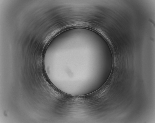 X0000099440437200805231721